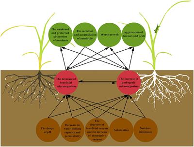 Frontiers | Evolutions And Managements Of Soil Microbial Community ...